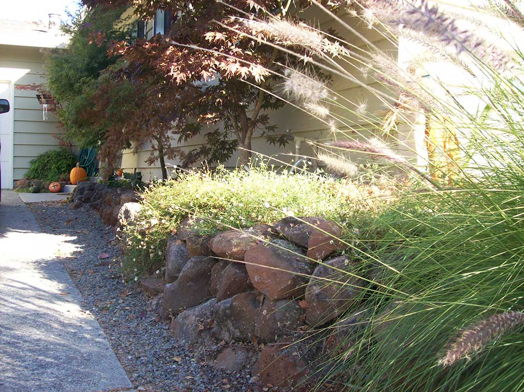 Sonoma Fieldstone Landscape Clean Up Soquel CA