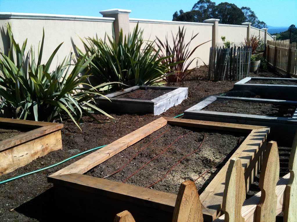 greenouse landscape consultation soquel ca greenouse landscape consultation soquel ca