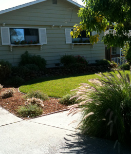 landscape development services soquel ca